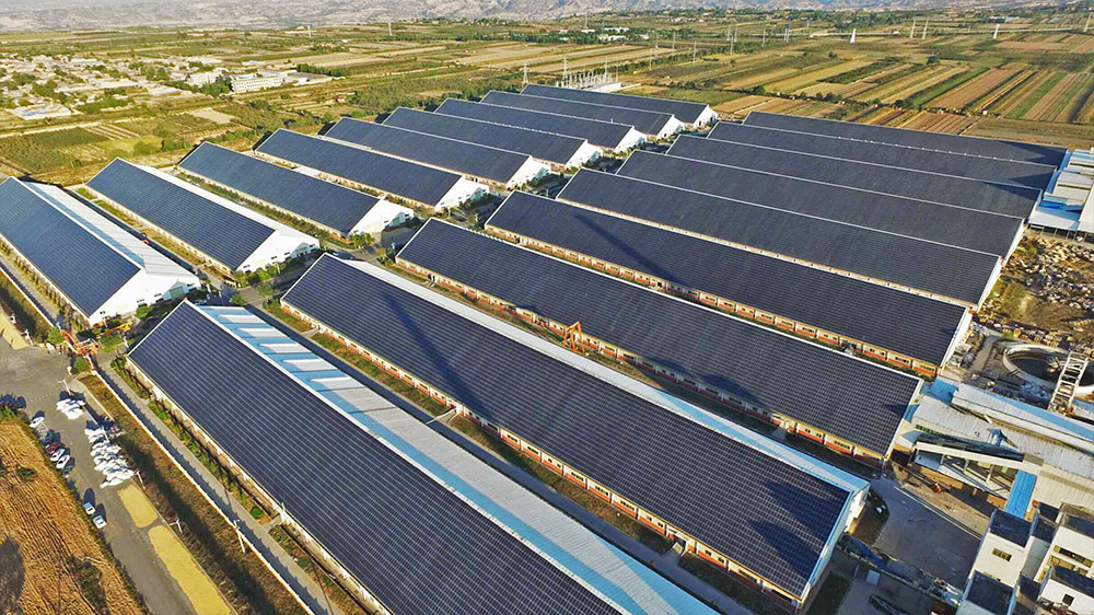 9001cc金沙以诚为本(中国)有限公司官网