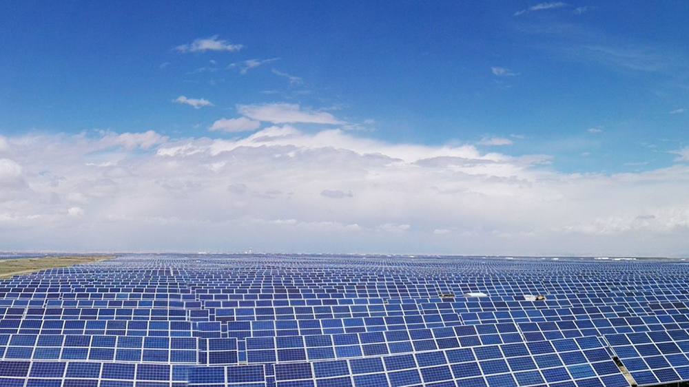 9001cc金沙以诚为本(中国)有限公司官网