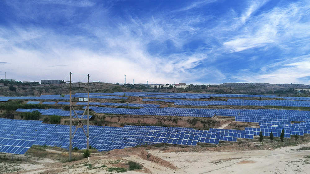 9001cc金沙以诚为本(中国)有限公司官网