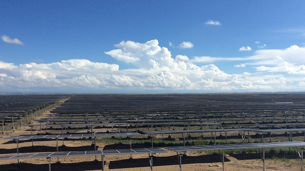 9001cc金沙以诚为本(中国)有限公司官网